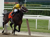 Timothy Hill > Belmont Park 2006 photo